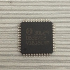 Chip 30629